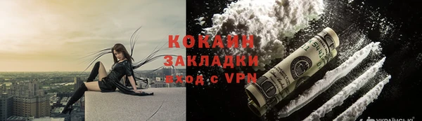 твердый Богородск
