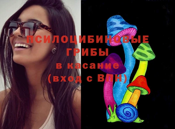 твердый Богородск