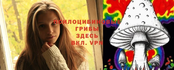 твердый Богородск