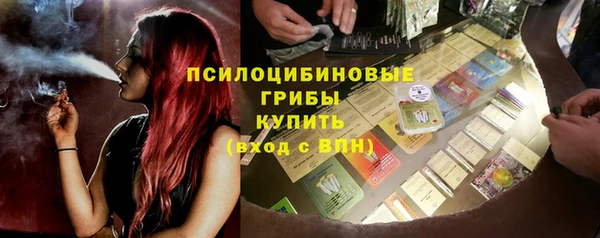 твердый Богородск