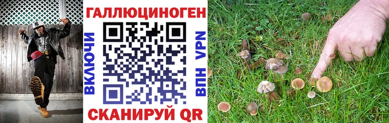 Псилоцибиновые грибы мухоморы  Полтавская 
